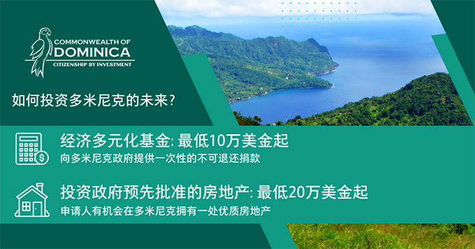 多米尼克选项.png
