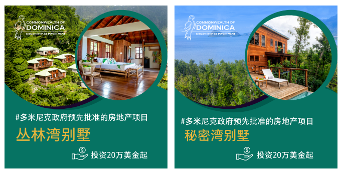 多米尼克220.png