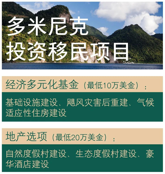 多米尼克护照类型.jpg