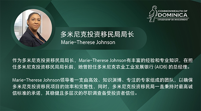 多米尼克投资移民局局长.jpg