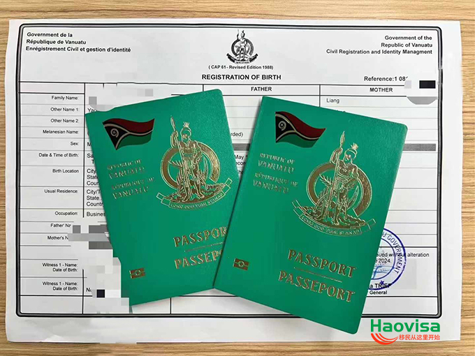 1772508273395569.jpg 瓦努9hao.jpg